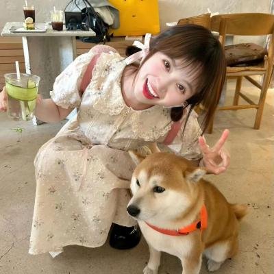 夏日不宜入爱河